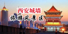 男生强行操入黑丝女，在线免费看中国陕西-西安城墙旅游风景区
