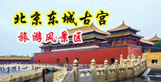 老年人操逼视频中国北京-东城古宫旅游风景区